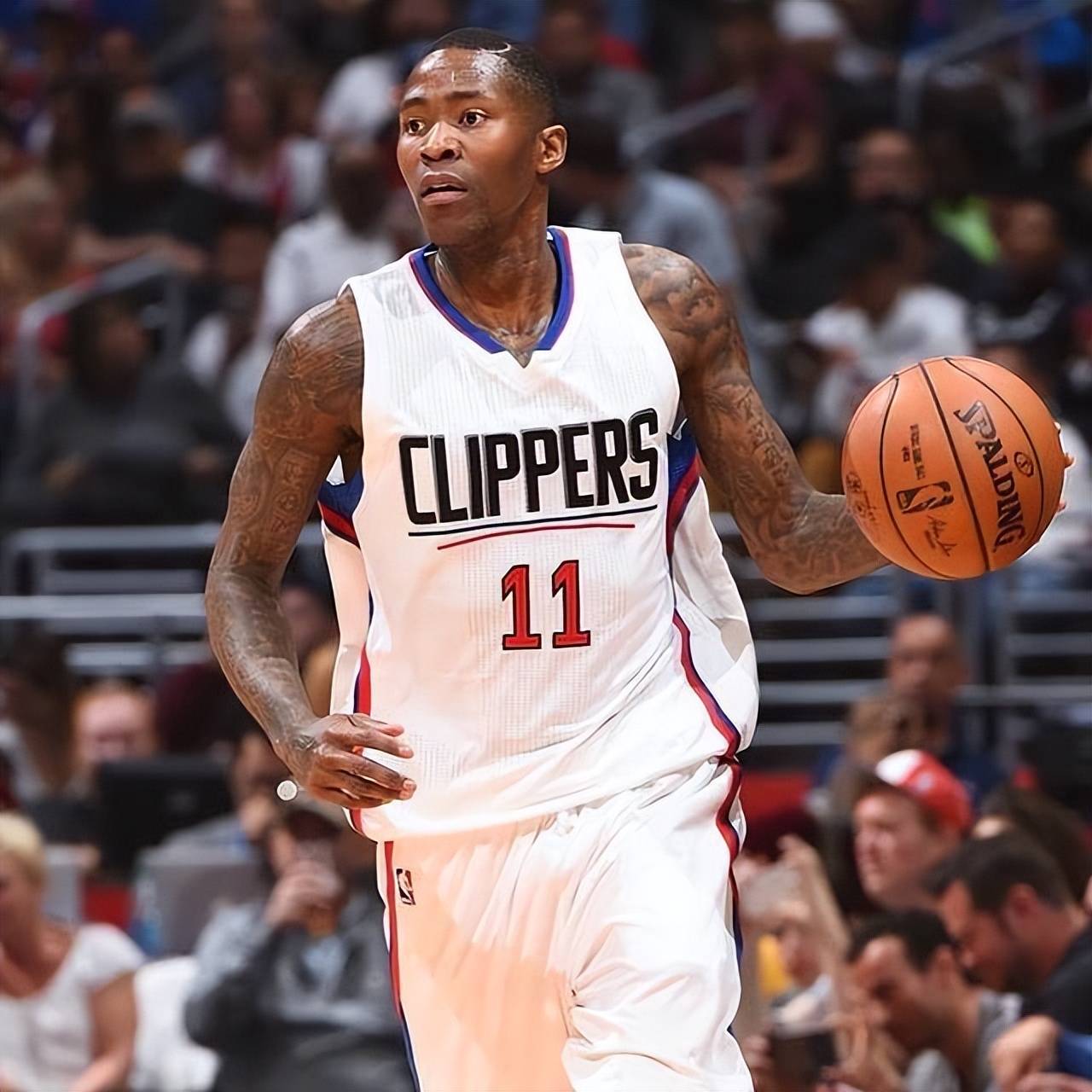 公牛队不断 公牛队不断